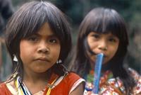 Children of the Amazon