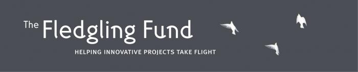 Fledgling Fund logo